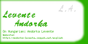 levente andorka business card
